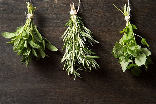 Gewürzfans sollten sich Kräutersträuße zum Trocknen in die Küche hängen. So können Salbei, Rosmarin, und Zitronenmelisse (l-r) bei Bedarf mit gemörsert werden. - © Franziska Gabbert/dpa-tmn