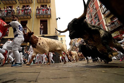 Bei den Stierhatzen gibt es immer wieder Verletzte. (Archivbild) - © Alvaro Barrientos/AP