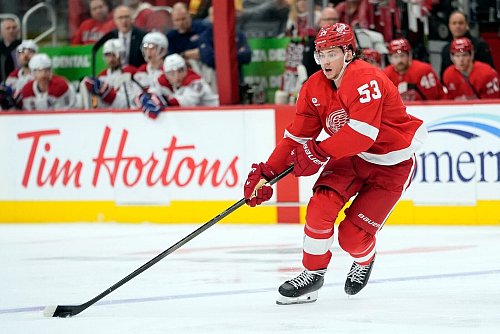 Moritz Seider zählt in der NHL zu den Top-Verteidigern - © Carlos Osorio/AP/dpa