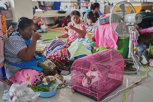Viele Vertriebene haben ihr Hab und Gut samt Haustieren in Sicherheit gebracht. - © Sakchai Lalit/AP/dpa