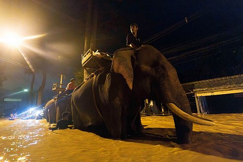 Auf einem Elefanten bringt ein Mönch in Thailand Hilfsgüter (Foto aktuell). - © Wason Wanichakorn/AP/dpa
