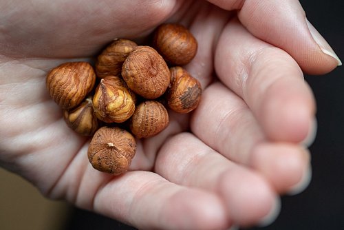 So gesund: Haselnüsse gibts natürlich auch im Herbst. (Archivbild) - © Daniel Karmann/dpa/dpa-tmn