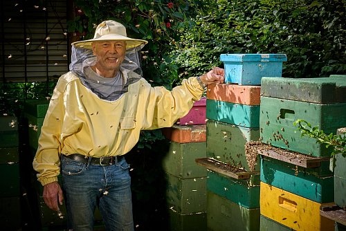 Herr über eine Million Bienen: Imker Wolfgang Jenke. - © Klaus-Peter Kappest/Schmallenberger Sauerland Tourismus/dpa-tmn