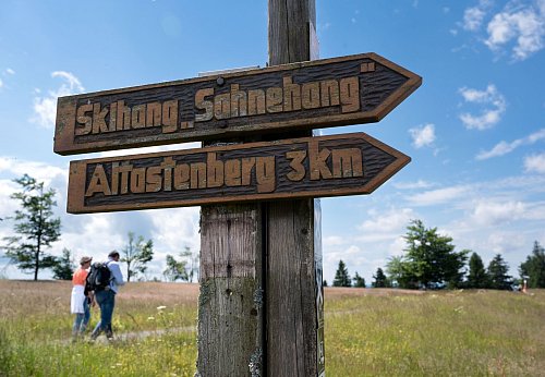 Im Winter wird Ski gefahren, im Rest des Jahres lässt es sich am Kahlen Asten in schöner Natur wandern. - © Bernd Thissen/dpa/dpa-tmn