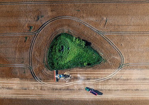 Die Agrarwirtschaft befürchtet, dass Landwirte künftig weniger EU-Geld bekommen. (Archivbild) - © Jens Büttner/dpa