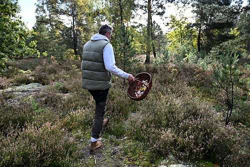 Moritz Schmid unterwegs in seinem Heimatwald. - © Lilli Förter/dpa
