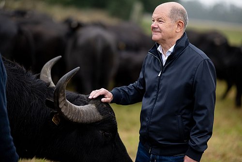 Hat als einfacher Abgeordneter nun mehr Zeit: Der frühere Bundeskanzler Olaf Scholz (SPD). (Archivbild) - © Fabian Sommer/dpa