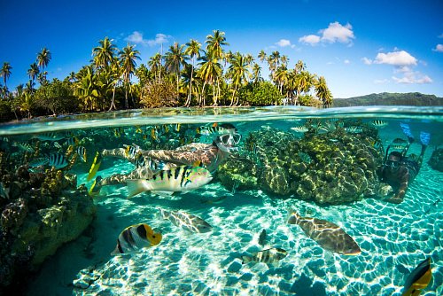 Klares Wasser, geringe Tiefe, viele Fische: Das macht die Lagune von Moorea zu einem Schnorchel-Paradies. - © David Kirkland/Tahiti Tourisme/dpa-tmn