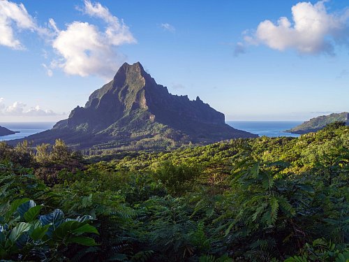 Auf Moorea ragen Urwaldberge steil hinauf. - © David Kirkland/Tahiti Tourisme/dpa-tmn