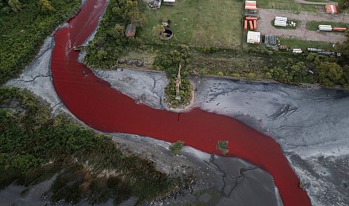 Das Umweltministerium der Provinz Buenos Aires entnahm Wasserproben zur chemischen Analyse. - © Rodrigo Abd/AP/dpa