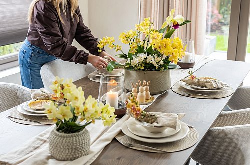 Gelbe Blumen für Ostern: Statt klassischer Frühlingsblumen können auch Orchideen die Festtafel schmücken. - © orchidsinfo/GPP/dpa-tmn