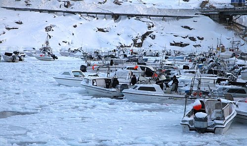 Der Hafen von Ilulissat ist teils zugefroren. - © Steffen Trumpf/dpa