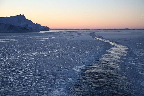 Mit zunehmendem Klimawandel werden Schifffahrtsrouten in der Arktis zugänglicher. - © Steffen Trumpf/dpa