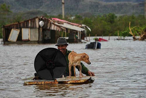 Auch Tiere wurden in Mitleidenschaft gezogen. - © Ramon Espinosa/AP/dpa