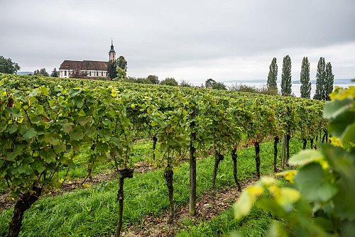 Wolkenverhangen zeigten sich große Teile Deutschlands in diesem Monat. (Archivbild) - © Silas Stein/dpa