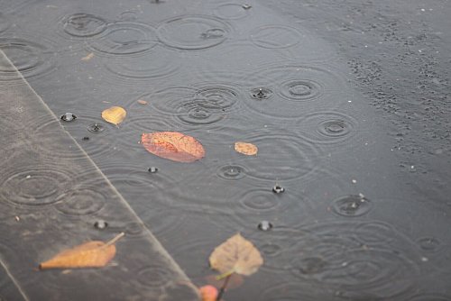 Insbesondere im Norden kam viel Regen herunter. (Archivbild) - © Sascha Thelen/dpa