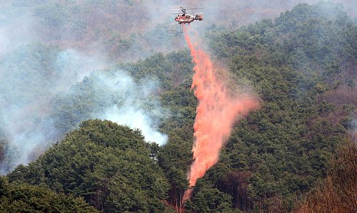 Rund 5000 Einsatzkräfte und mehr als 140 Hubschrauber kämpfen gegen die Flammen. - © Kim Dong-min/Yonhap via AP/dpa