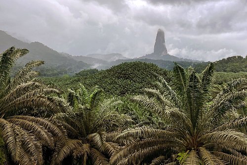 Der 663 Meter hohe Monolithberg Pico Cão Grande ragt im Süden von São Tomé einsam auf. - © Manuel Meyer/dpa-tmn