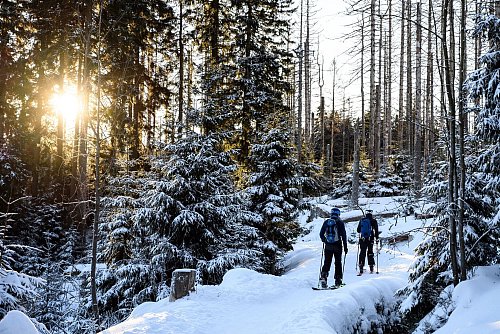 Alternativen suchen: Wenn die Pisten zu sind, bietet sich vielleicht eine Winterwanderung an - doch nicht für jeden ist das eine zufriedenstellende Option. - © Swen Pförtner/dpa/dpa-tmn