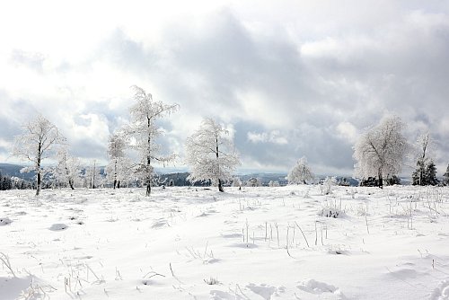 In den kommenden Tagen sollen die Temperaturen in ganz NRW deutlich fallen. - © Rene Traut/dpa