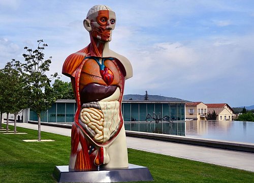 «Der Name Cézanne zieht die Künstler an wie ein Magnet»: Skulptur von Damien Hurst auf dem Weingut La Coste. - © Daniela David/dpa-tmn