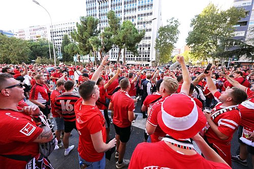 Die Fans des VfB Stuttgart feiern die Rückkehr auf die Königsklassen-Bühne. - © Jan Woitas/dpa