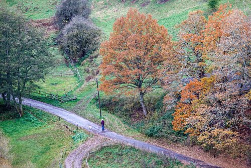 In NRW wird in der neuen Woche herbstliches Wetter erwartet. - © Thomas Banneyer/dpa
