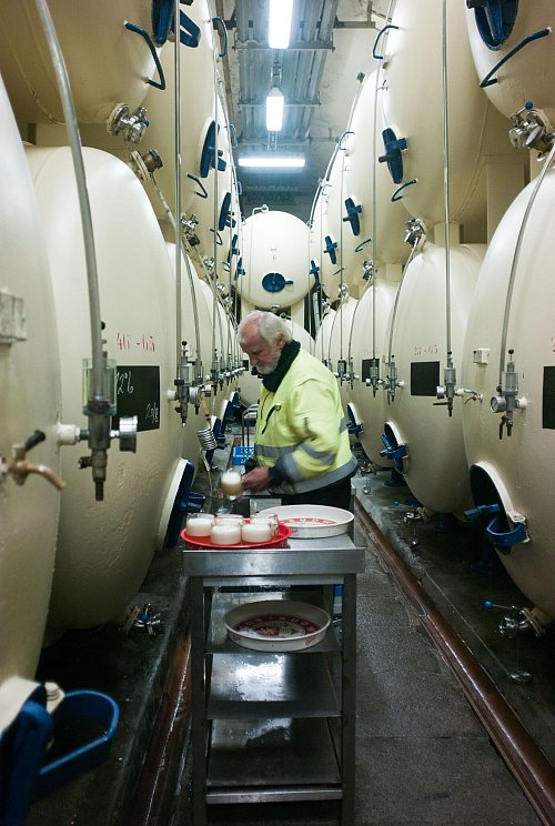 Bier frisch aus dem Lagertank: Das gibt es für Besucher auf Führungen durch die tschechische Staatsbrauerei Bud?jovický Budvar. - © Michael Heitmann/dpa-tmn