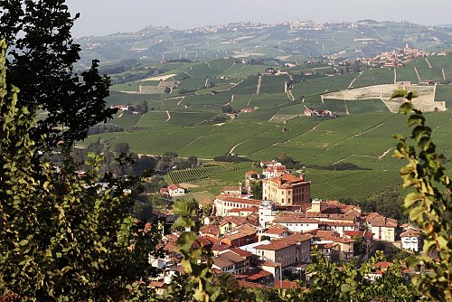 Barolo ist ein Dorf im Piemont, das einem der bekanntesten Weine der Welt seinen Namen gab. - © Bernhard Krieger/dpa-tmn