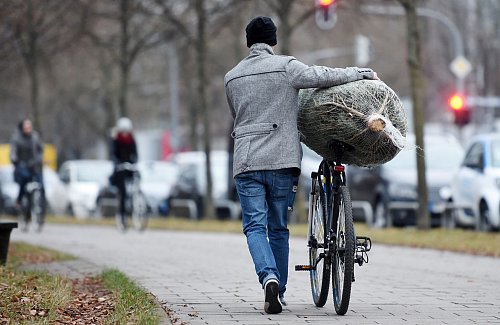 Wer sein Bäumchen liebt, der schiebt - und fällt damit auch nicht so schnell auf die Nase. - © Tobias Hase/dpa/dpa-tmn