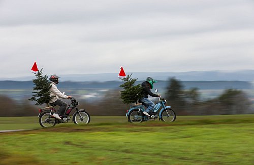 Ob die Weihnachtsmützen als Markierung da noch helfen? Wer einen Baum nicht gut sichert und dann einen Unfall baut, kann Probleme bekommen. - © Thomas Warnack/dpa/dpa-tmn