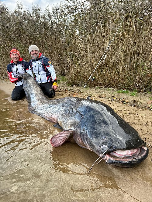 Zwei Angler in Polen haben einen fast drei Meter langen Wels gefangen. (Foto Handout) - © Polska Akademia Wedkarska/dpa