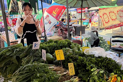 Bevor es ans Kochen geht, besuchen die Teilnehmer einen lokalen Markt. Kursleiterin Alice erklärt die landestypischen Kräuter und Gewürze - auch Zutaten für den Kurs werden eingekauft. - © Carola Frentzen/dpa-tmn