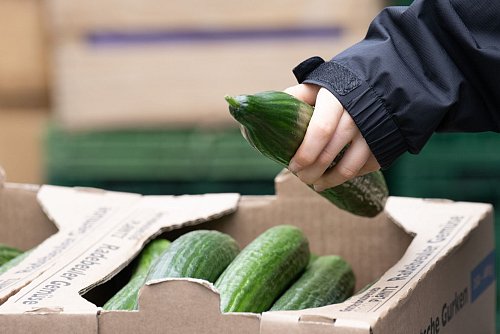 Nahrungsmittel haben sich erneut überdurchschnittlich verteuert - © Sebastian Kahnert/dpa