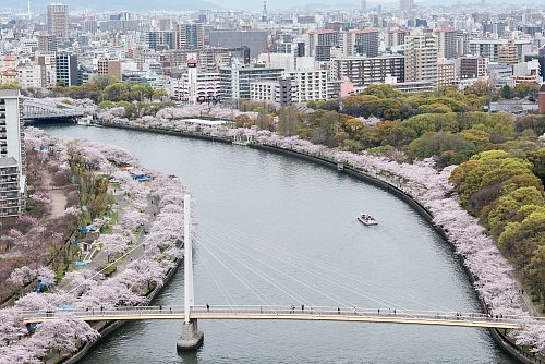 Mit Bäumen gesäumter Yodo-Fluss: Osaka während der Kirschblüte. - © Osaka Convention & Tourism Bureau/dpa-tmn