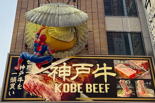 Nur eine von vielen Fassaden-Dekorationen in Dotonbori: ein «Spiderman», der es mit einer Jakobsmuschel zu tun bekommt. - © Ralf Johnen/dpa-tmn