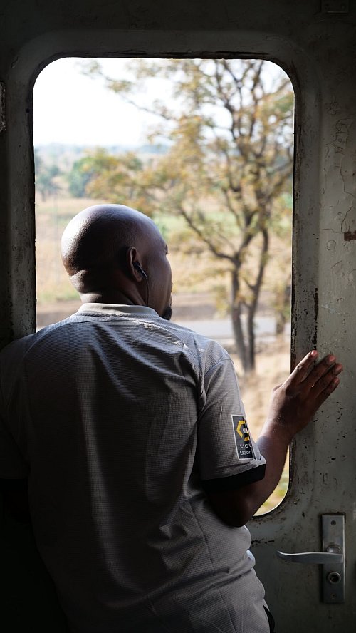 Blicke in die Natur: Die Tazara führt durch die Savanne, wo Giraffen und andere Wildtiere leben. - © Julian Hilgers/dpa-tmn