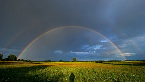 Neue Perspektiven nach dem Verlust: Die können auch schon Wanderungen oder Radtouren bieten - als Trauerreise im Kleinen. - © Stefan Sauer/dpa/dpa-tmn