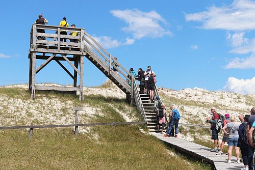 Erst warten, dann die Aussicht genießen: Besucher an der Sundischen Wiese mit der Hohen Düne. - © Deike Uhtenwoldt/dpa-tmn