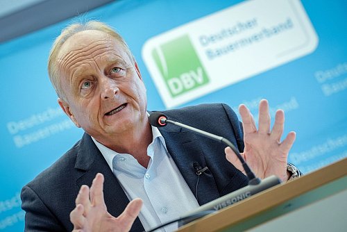 Bauernpräsidend Joachim Rukwied zeichnete schon vor dem MKS-Ausbruch ein eingetrübtes Bild der Branche. (Archivbild) - © Kay Nietfeld/dpa