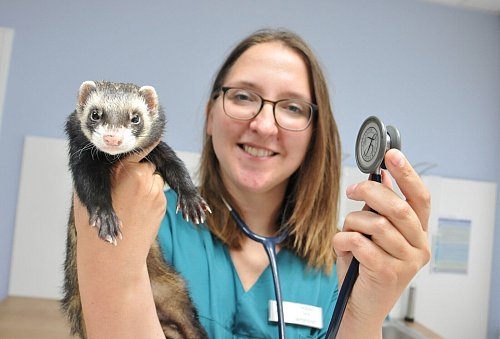 Tierärztin Sarah Wellhöner führt die Kleintierpraxis am Mühlenteich in Steinhagen. - © Frank Jasper