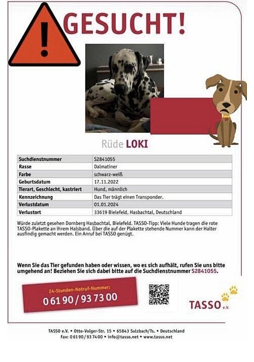 Die Suche nach Loki in der Community. - © Julia Borgstedt