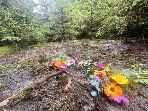 Am Leichenfundort von Marion S. mitten in einer Tannenschonung eines kleines Waldstückes wurden Blumen abgelegt. - © Wolfgang Wotke