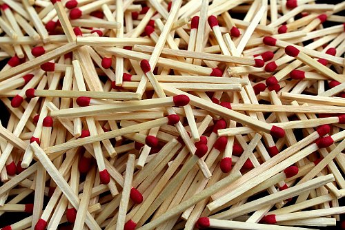 Bestandteile in Streichholz-Köpfen sollen giftig auf Trauermücken-Larven wirken, wenn die Streichhölzer kopfüber in die Erde gesteckt werden. - © Symbolfoto: Pixabay