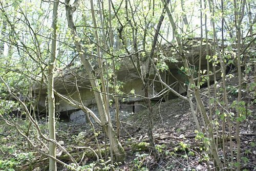 Die Natur holt sich diesen Lost Place in Borgholzhausen wieder zurück. - © Andre Schneider