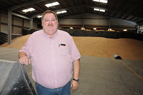 Die Lager füllen sich: Geschäftsführer Ulf Kortepeter in einem der zahlreichen Kornspeicher der Raiffeisen.Die Lager füllen sich: Geschäftsführer Ulf Kortepeter in einem der zahlreichen Kornspeicher der Raiffeisen. - © Marc Uthmann, HK