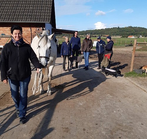 Heike O'Brien mit dem frisch hufgepflegten Ancho, dahinter Karin Pätze, Jens Schräder, Claudia Nothoff, Eva Sewerin und Kursleiterin Kati Jurth (von links). - © Anke Schneider