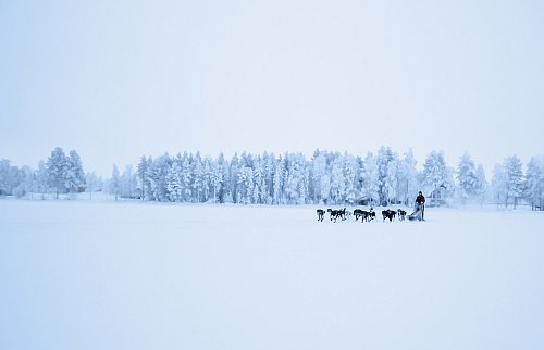 Katharina in ihrem Element: Sie liebt den nordischen Winter und das Spielen und Arbeiten mit ihren Alaskan Huskies - © Johanna Frielingsdorf