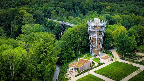 Auf dem Baumwipfelpfad in Bad Iburg gibt es für Familien einiges zu entdecken. - © Bad Iburg Tourismus GmbH