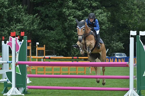 Sarah Matrarrese: Sie wurde auf ihrem Haflinger Spix Champion der Großen Tour im Springen und auch der Großen Tour der Vielseitigkeit. Das Foto zeigt die reiterin im L-Stilspringen, in dem sie zweite wurde. - © Foto: anke schneider